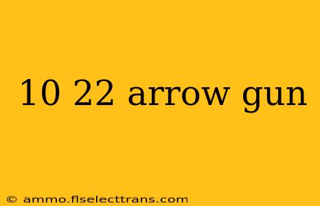 10 22 arrow gun