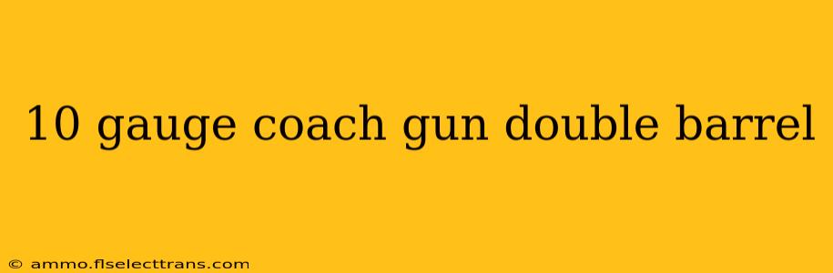 10 gauge coach gun double barrel