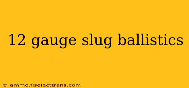 12 gauge slug ballistics