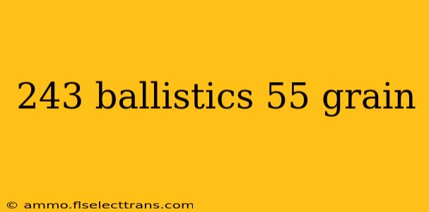 243 ballistics 55 grain