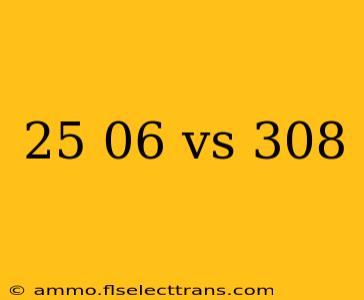 25 06 vs 308