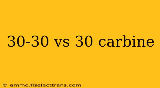 30-30 vs 30 carbine