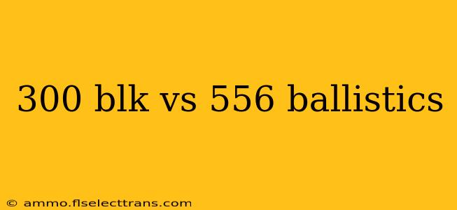 300 blk vs 556 ballistics