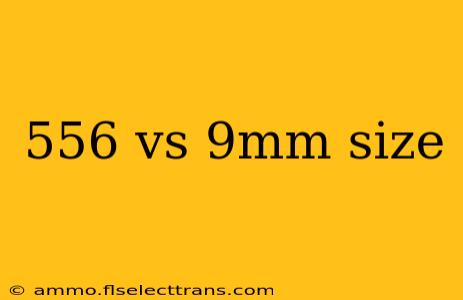 556 vs 9mm size