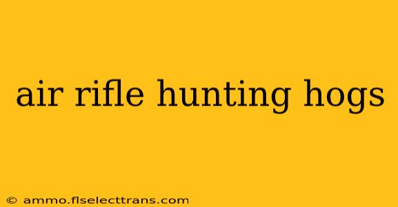 air rifle hunting hogs