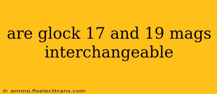 are glock 17 and 19 mags interchangeable