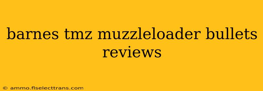 barnes tmz muzzleloader bullets reviews