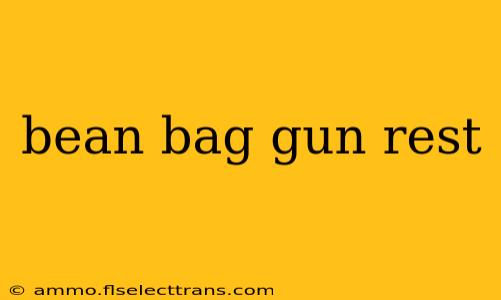 bean bag gun rest