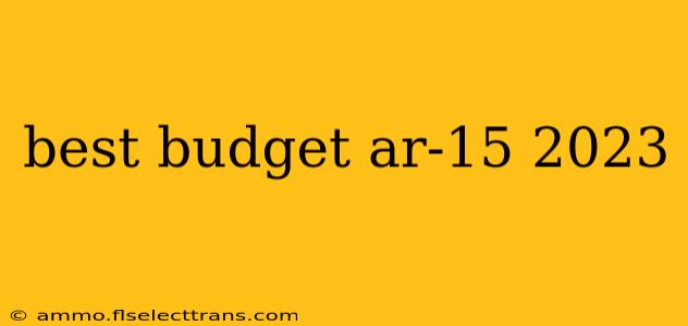 best budget ar-15 2023