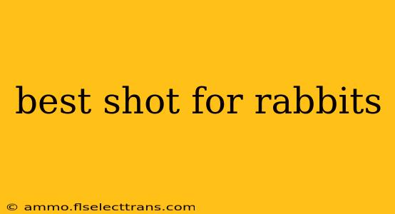 best shot for rabbits