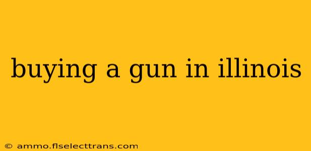 buying a gun in illinois