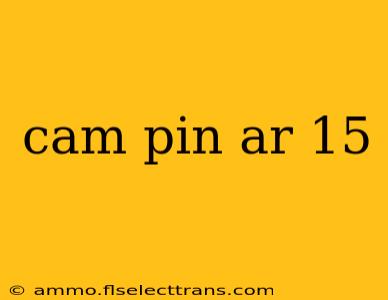 cam pin ar 15