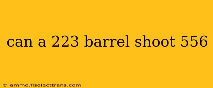 can a 223 barrel shoot 556