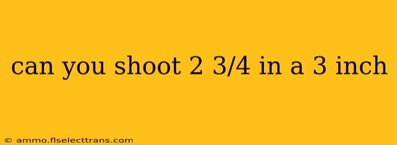 can you shoot 2 3/4 in a 3 inch