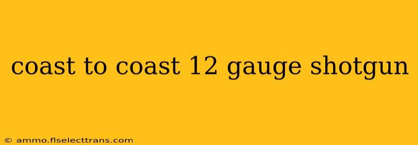 coast to coast 12 gauge shotgun