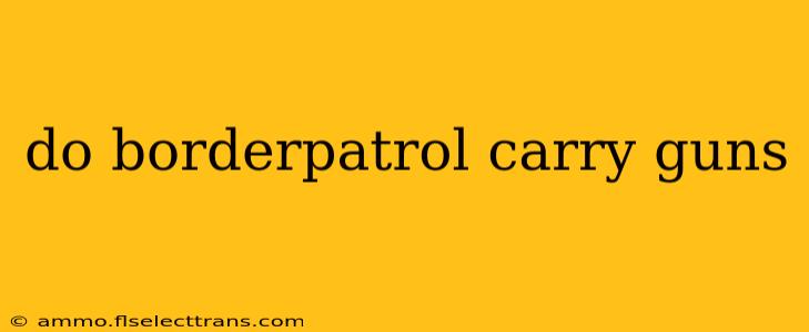 do borderpatrol carry guns