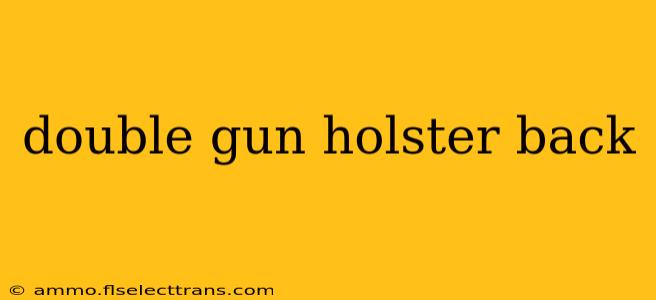 double gun holster back