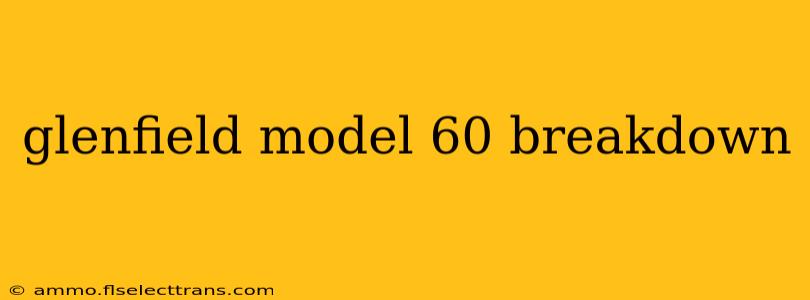 glenfield model 60 breakdown