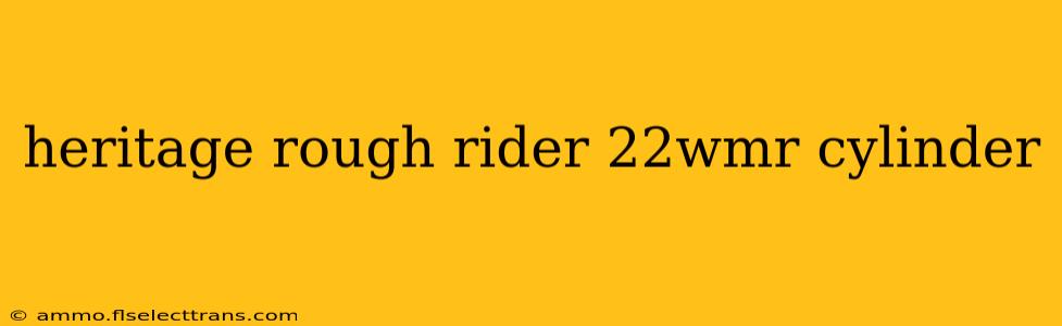 heritage rough rider 22wmr cylinder