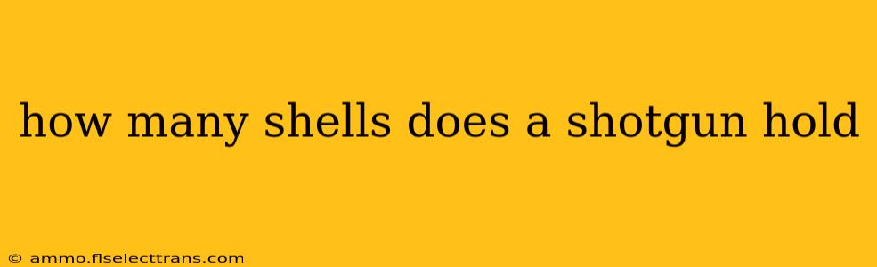 how many shells does a shotgun hold