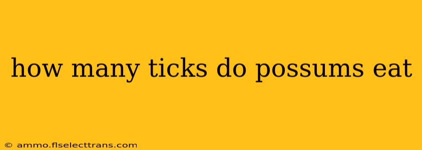 how many ticks do possums eat