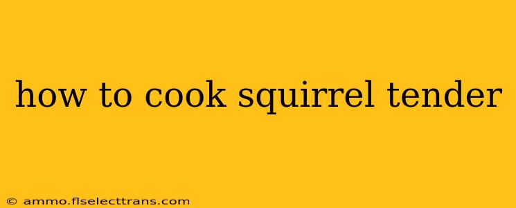 how to cook squirrel tender