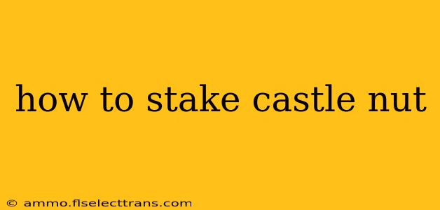 how to stake castle nut