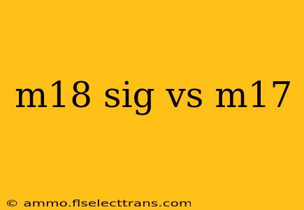 m18 sig vs m17