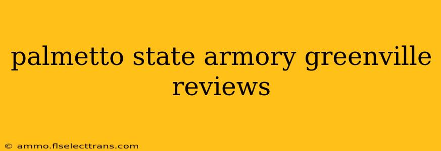 palmetto state armory greenville reviews