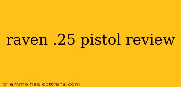 raven .25 pistol review