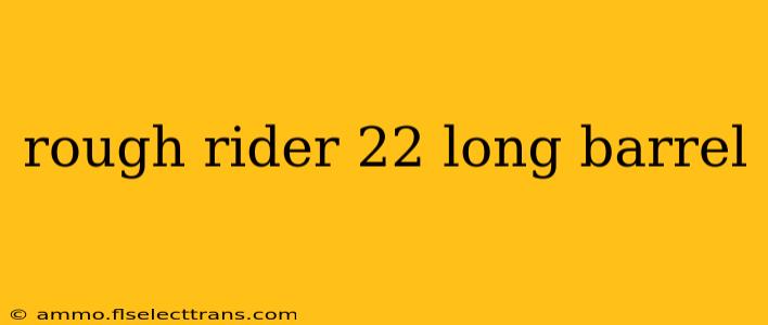 rough rider 22 long barrel