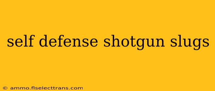 self defense shotgun slugs