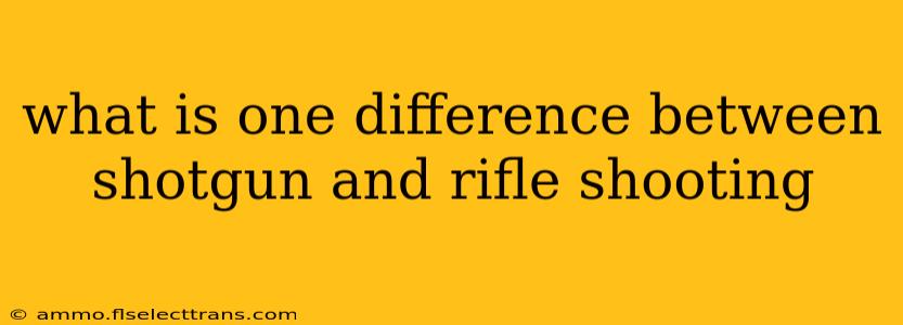 what is one difference between shotgun and rifle shooting