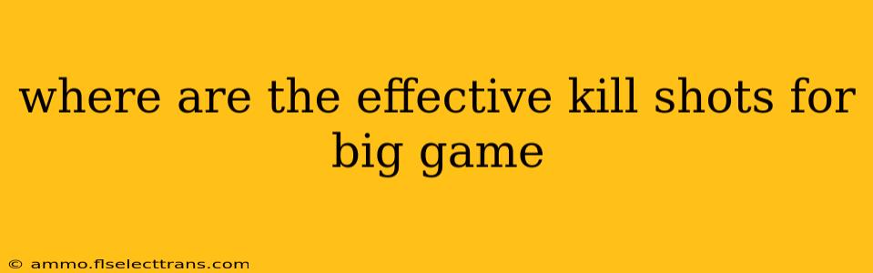 where are the effective kill shots for big game