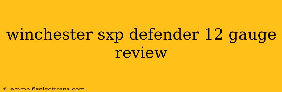 winchester sxp defender 12 gauge review